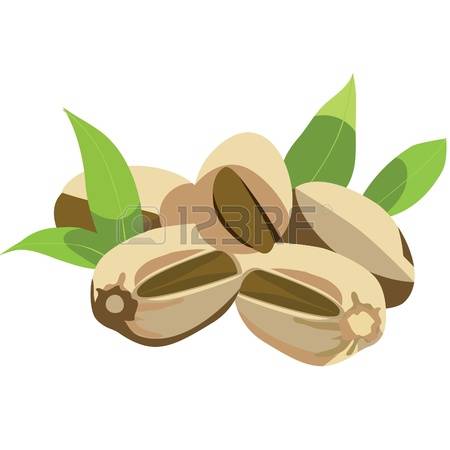 3,636 Pistachio Nuts Stock Vector Illustration And Royalty Free.