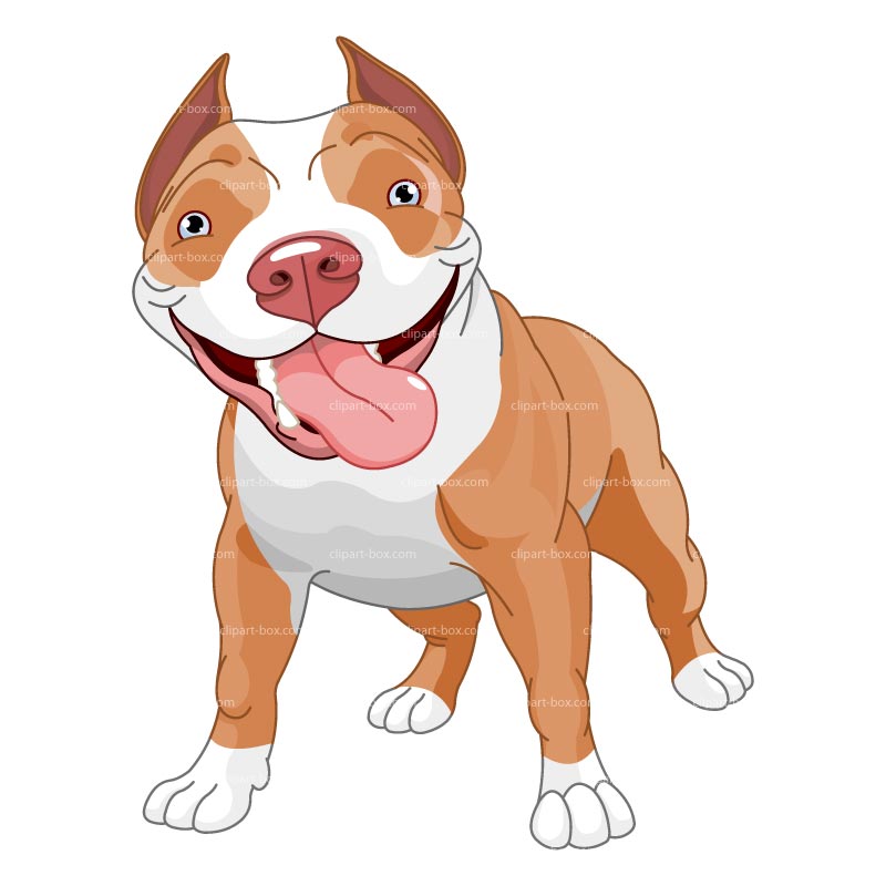 Pitbull clipart 20 free Cliparts | Download images on Clipground 2022