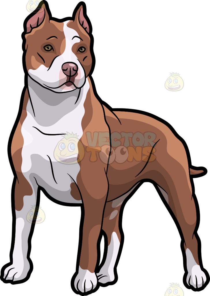 Pit Bull Clipart.