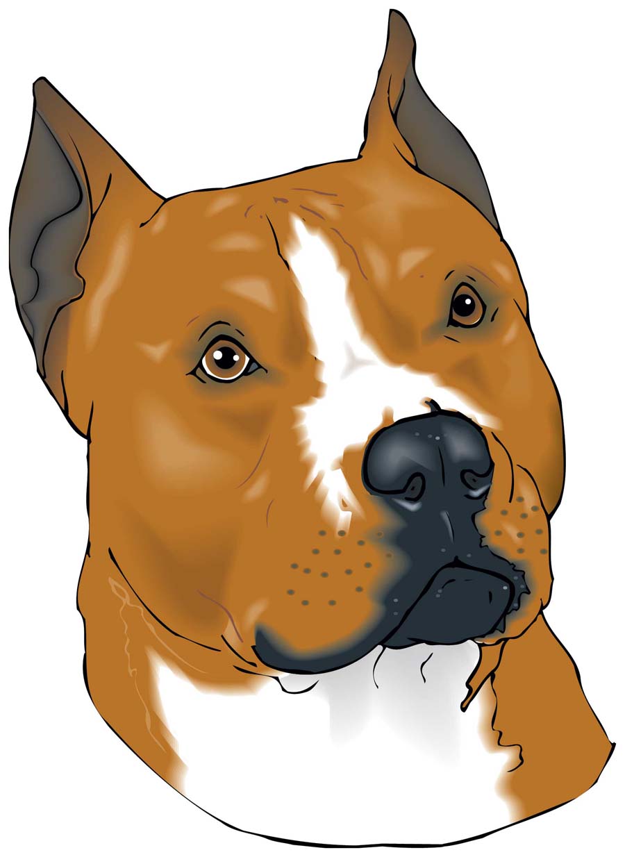 Pitbull clipart 20 free Cliparts | Download images on Clipground 2022