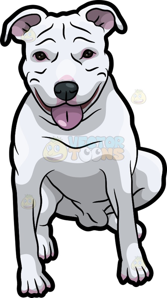 pitbull clipart.