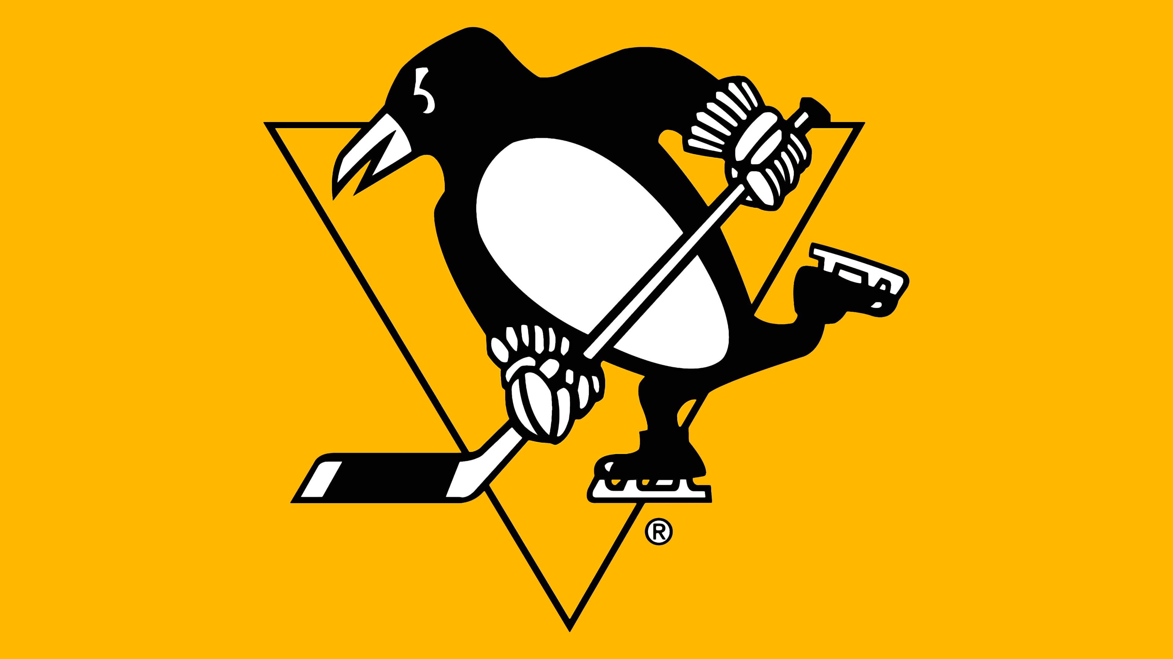 pittsburgh penguin store