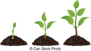 Plant Illustrations and Clip Art. 1,161,364 Plant royalty.