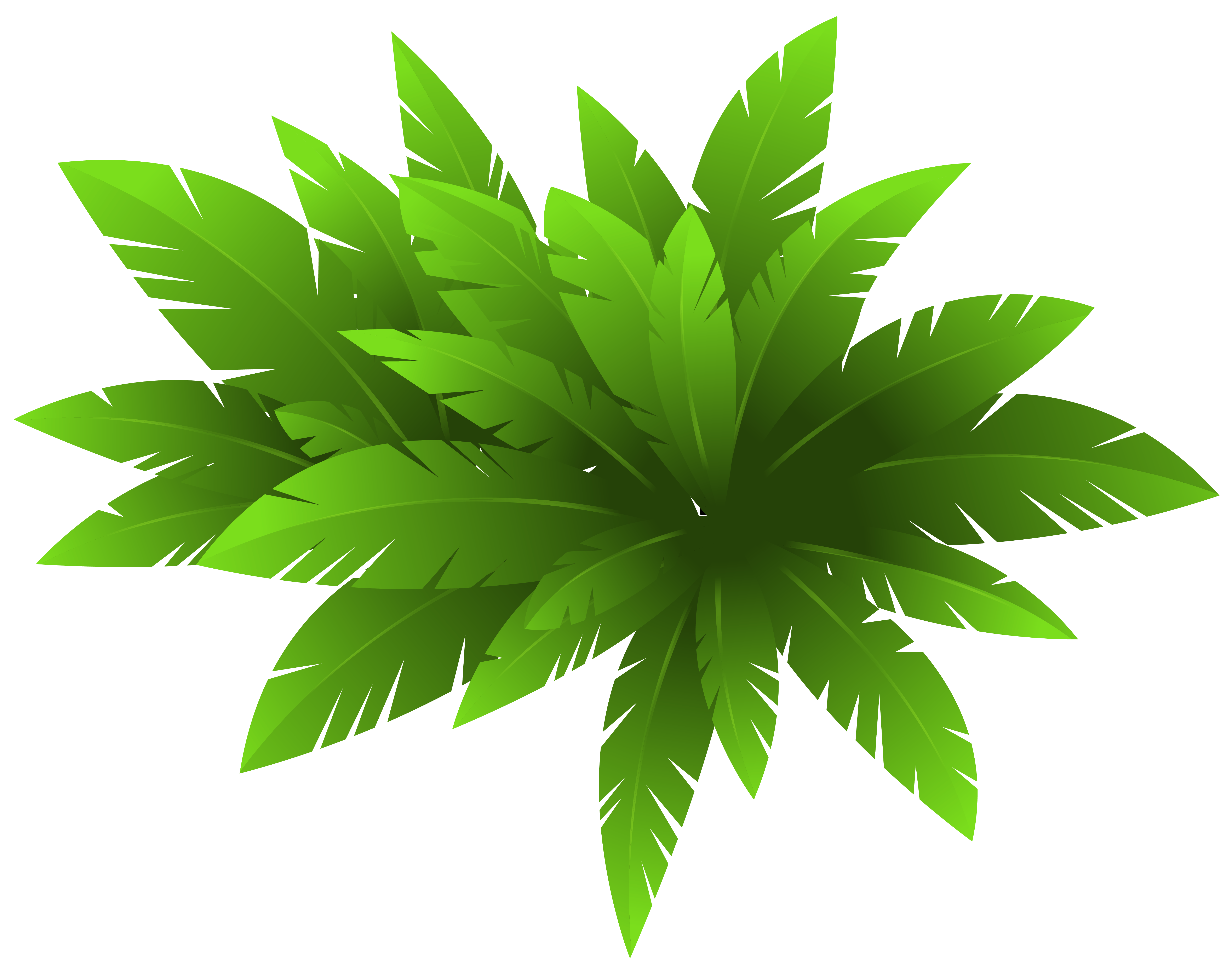 Green Plant Decoration PNG Clipart Image.