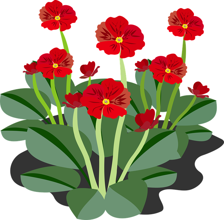 Free vector graphic: Clip Art, Flor, Flora, Flower.