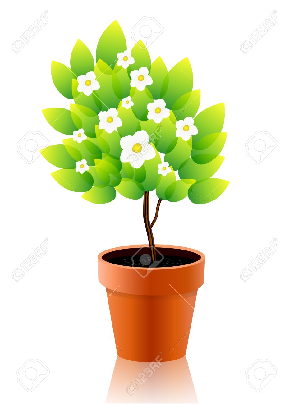 Growing Plant Clipart.