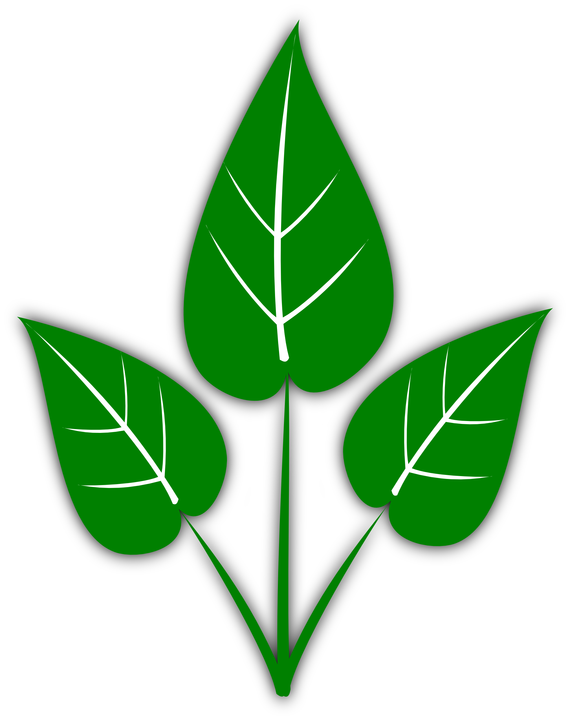 Plant Leaf Clipart 20 Free Cliparts Download Images On Clipground 2022