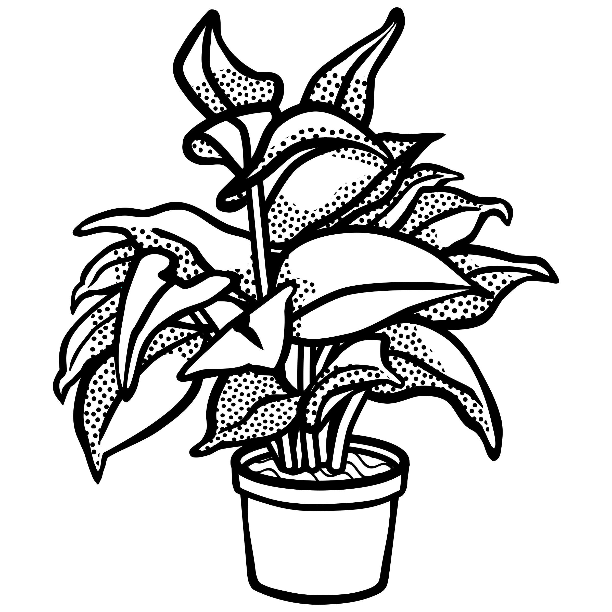 plant outline clipart 10 free Cliparts | Download images on Clipground 2022