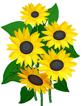 Sunflower Clip Art & Sunflower Clip Art Clip Art Images.
