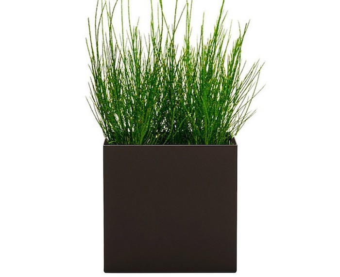 Planter Png (107+ images in Collection) Page 1.