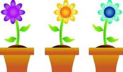 Free Spring Clipart & Spring Clip Art Images.