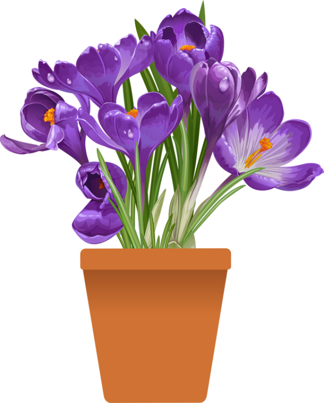 Clip Art of beautiful plants for the spring garden.