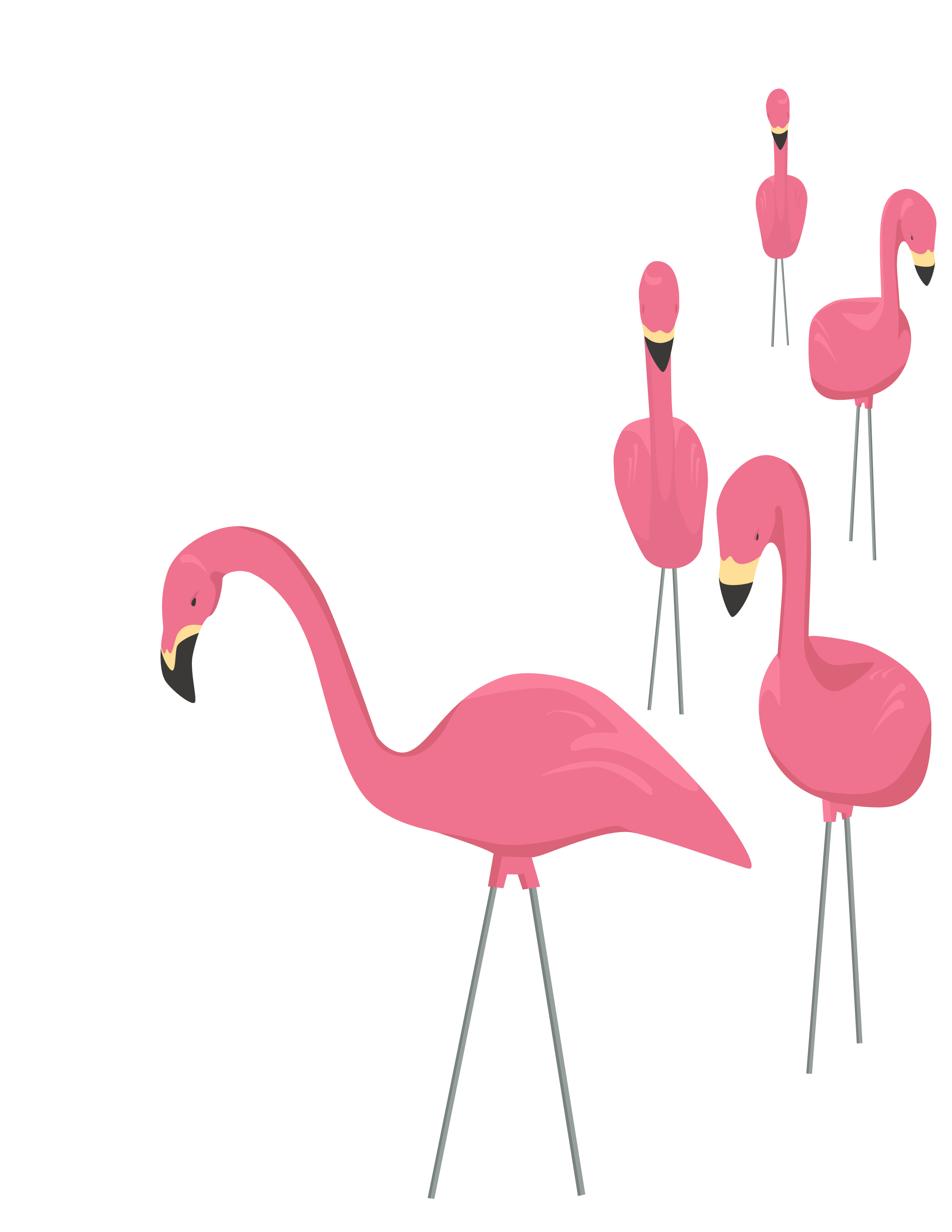 retro flamingo clipart