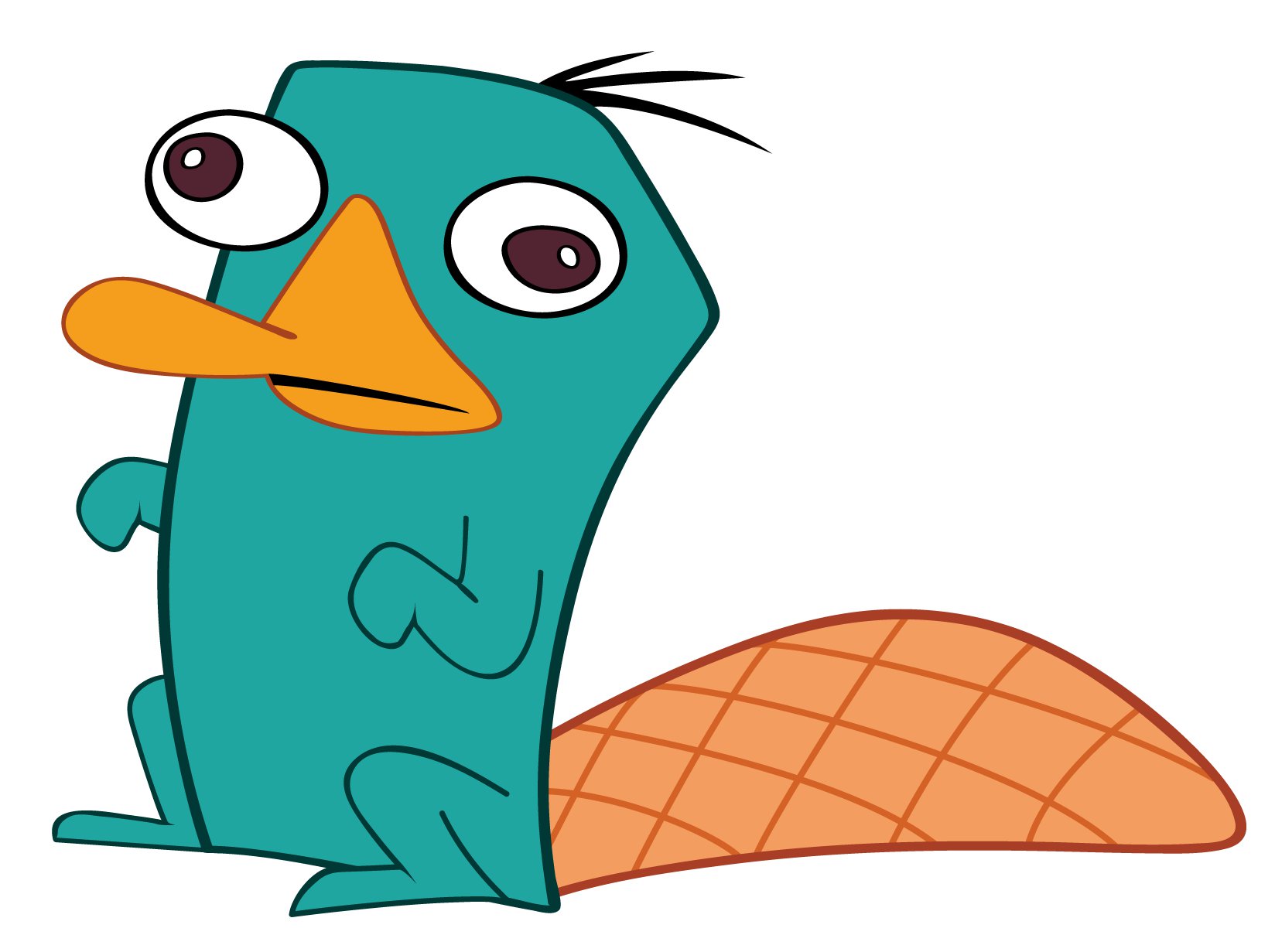 Best Platypus Clipart #10033.