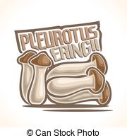 Pleurotus Vector Clip Art EPS Images. 26 Pleurotus clipart vector.