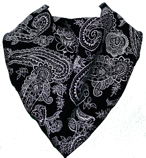 Bandana Png (111+ images in Collection) Page 1.