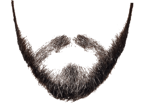 Download Free png Beard PNG, Download PNG image with.