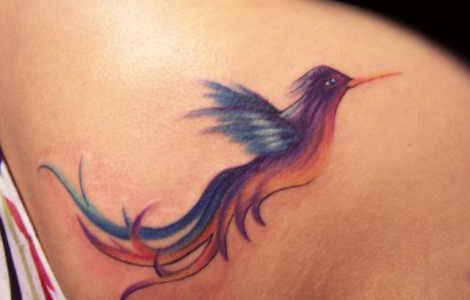 png bird of paradise tattoo.