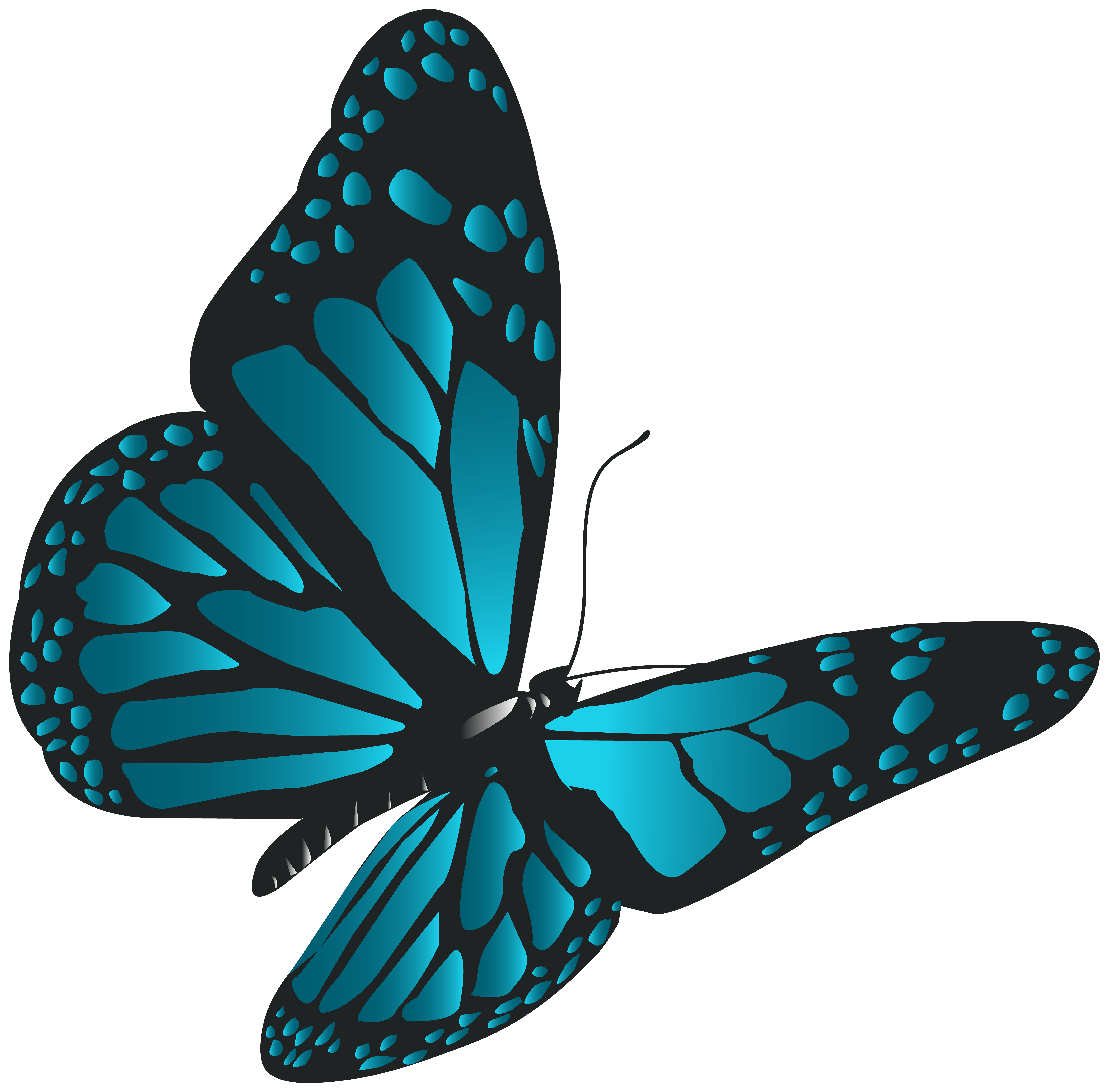 Blue Butterfly PNG Clip Art.