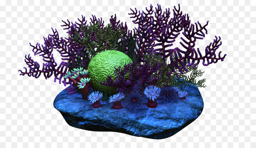 Coral Reef Background png download.