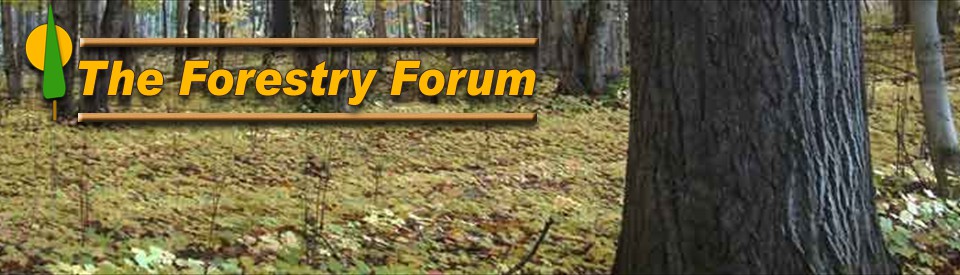 The Forestry Forum.