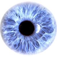 Download Eye Free PNG photo images and clipart.