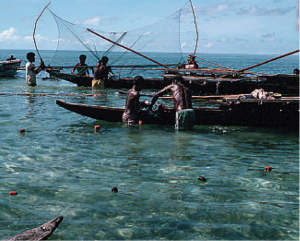 Department of Fisheries and Marine Resources.