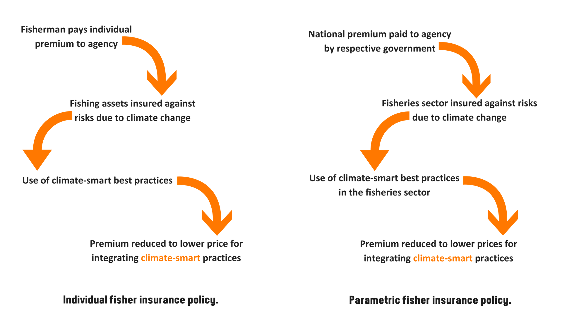 Summary of individual fisher insurance policy. (3).