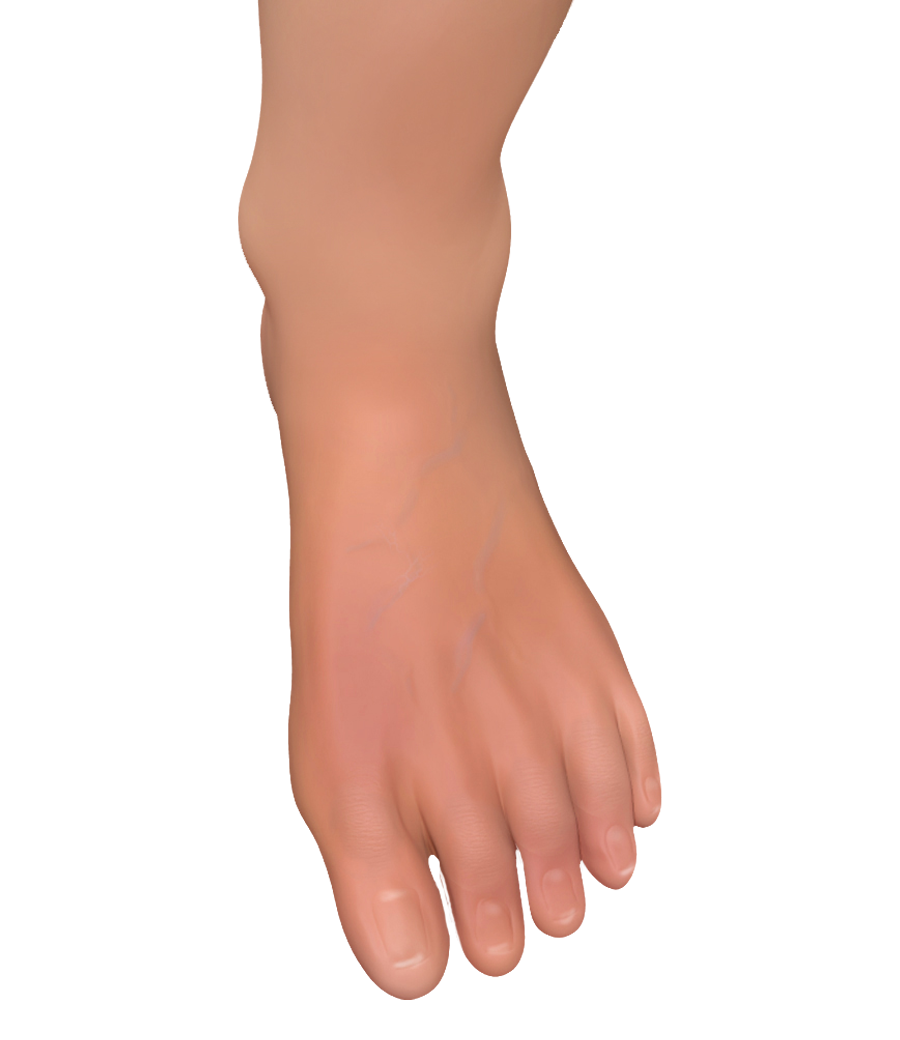 Foot Png (95+ images).