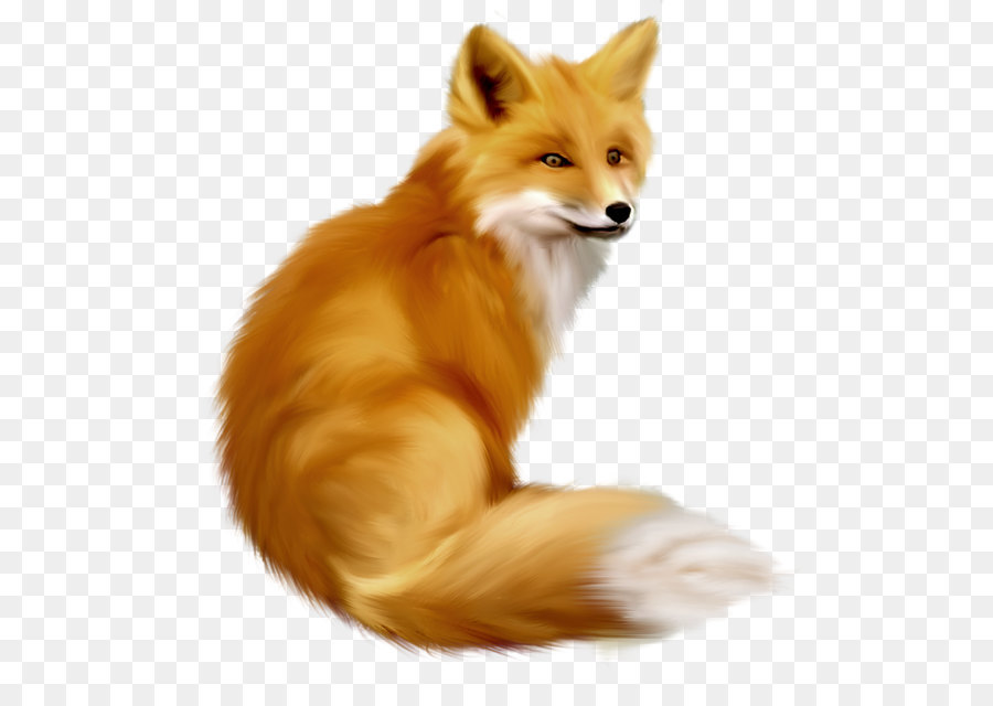 png fox 10 free Cliparts | Download images on Clipground 2021