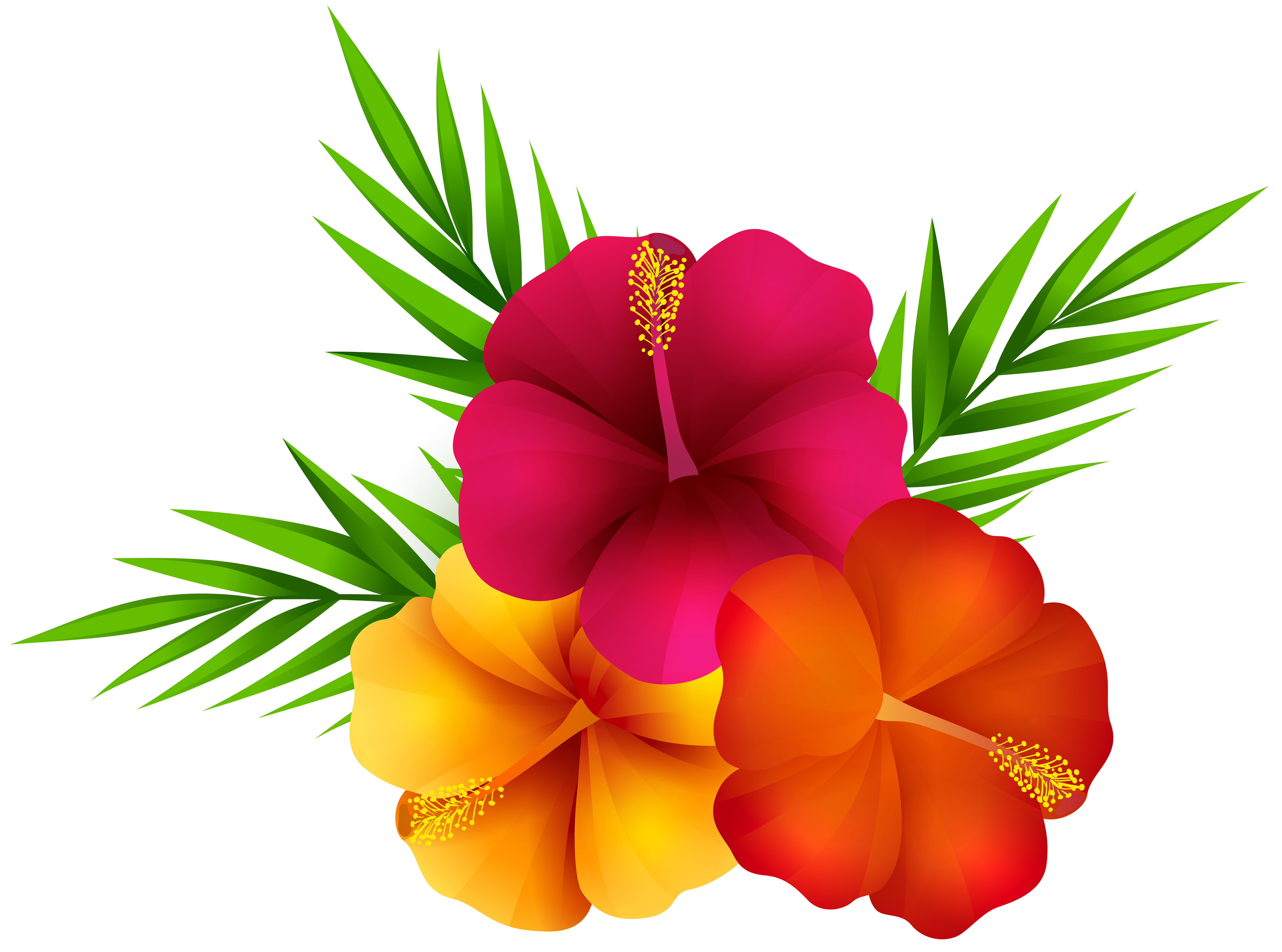 Exotic Flowers PNG Clip Art Image.