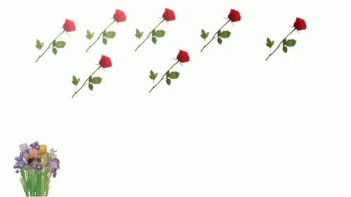 Png Flowers GIF.