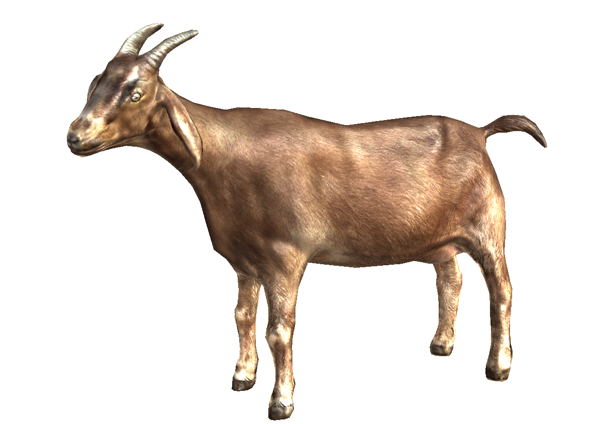 Goat PNG images free download, goat PNG.