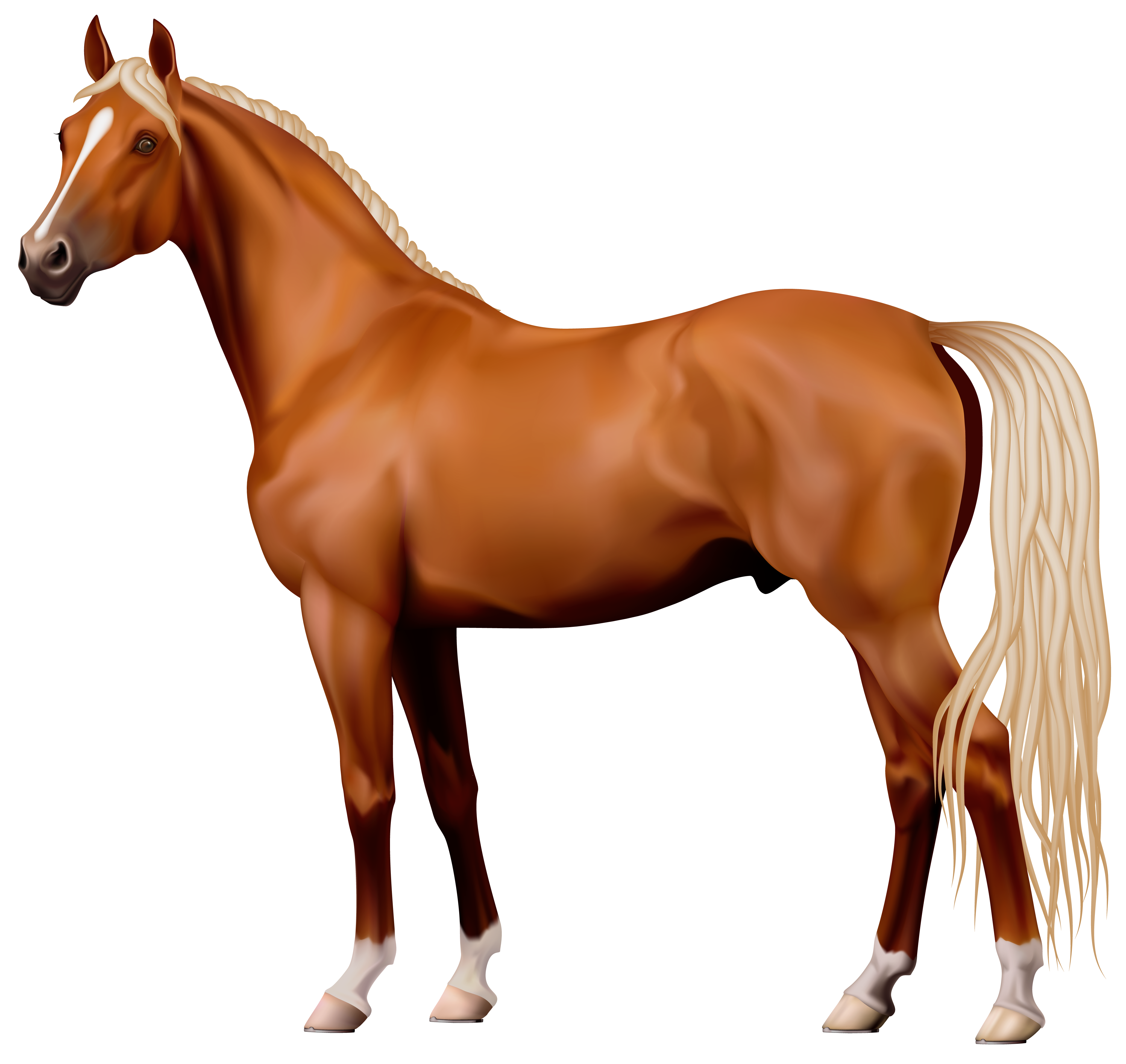 Brown Horse PNG Clipart.