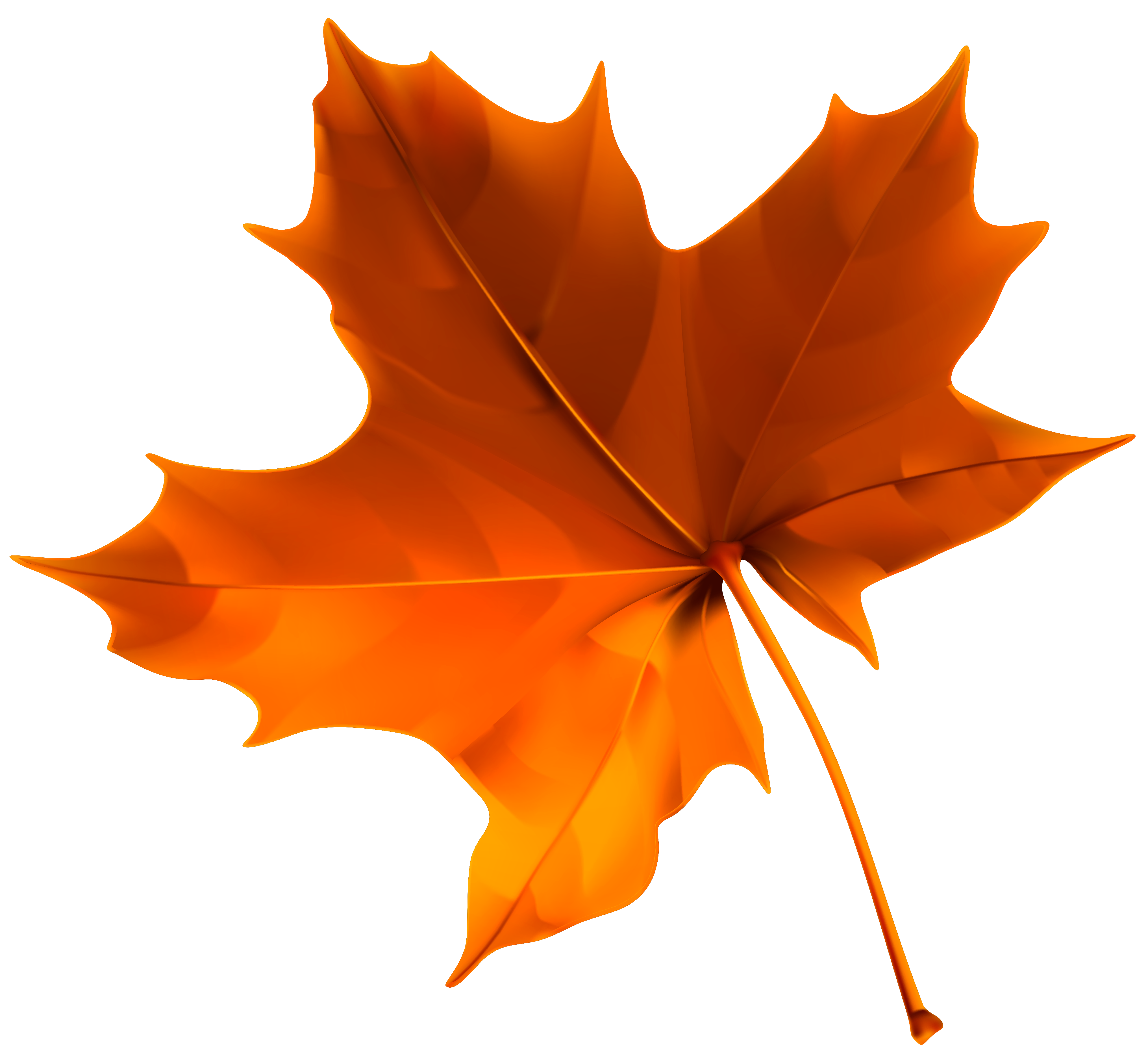 Autumn Red Leaf PNG Clipart Image.
