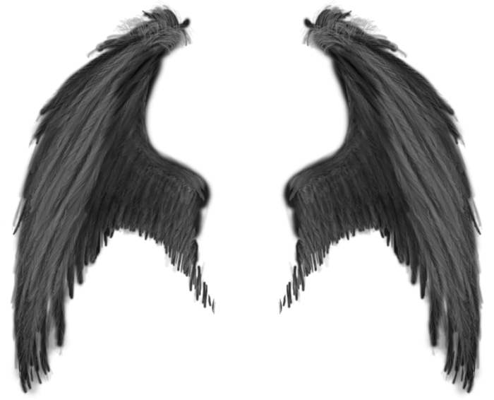 Wings PNG images free download, angel wings PNG.