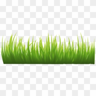 Free Grass PNG Images.