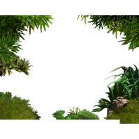 png jungle 10 free Cliparts | Download images on Clipground 2022