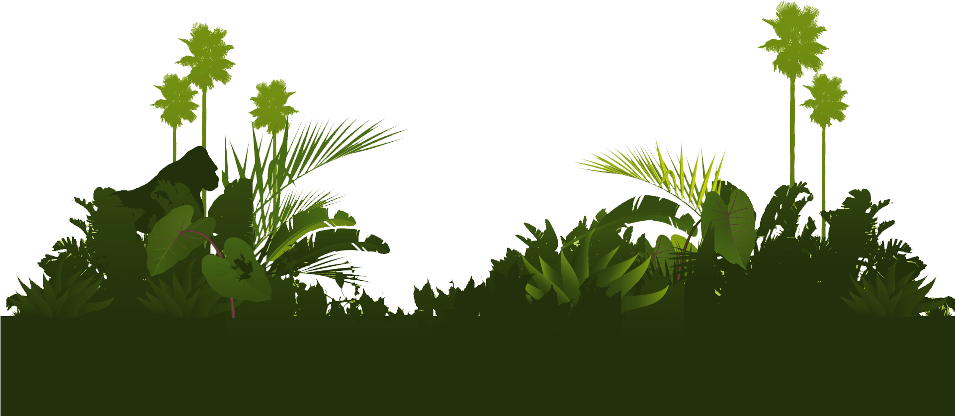 png jungle 10 free Cliparts | Download images on Clipground 2022