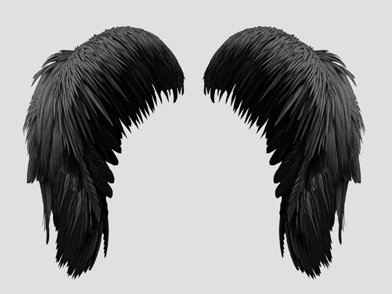 Free Black Wings PNG (Isolated.