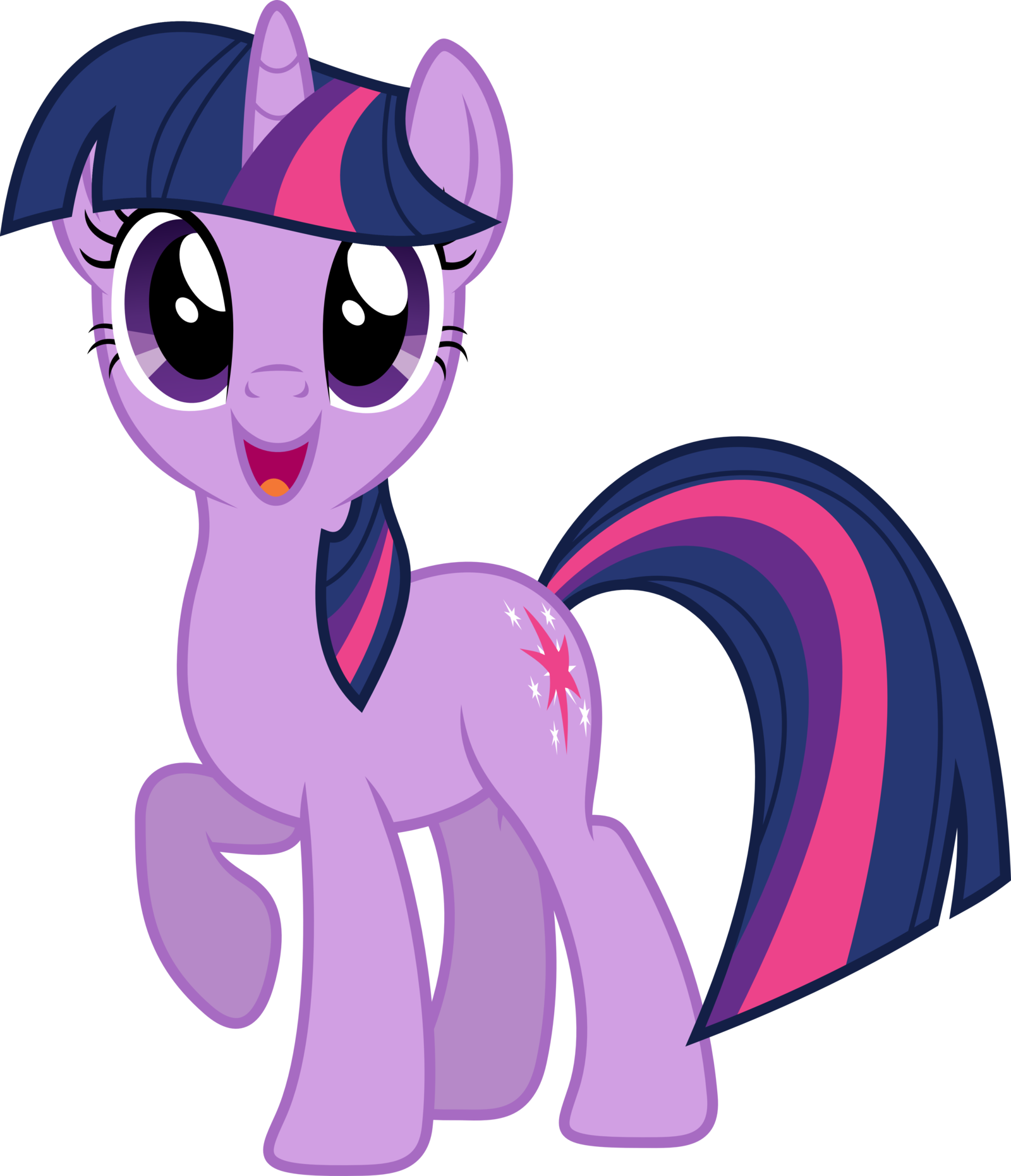 Twilight Sparkle Rarity My Little Pony Png.