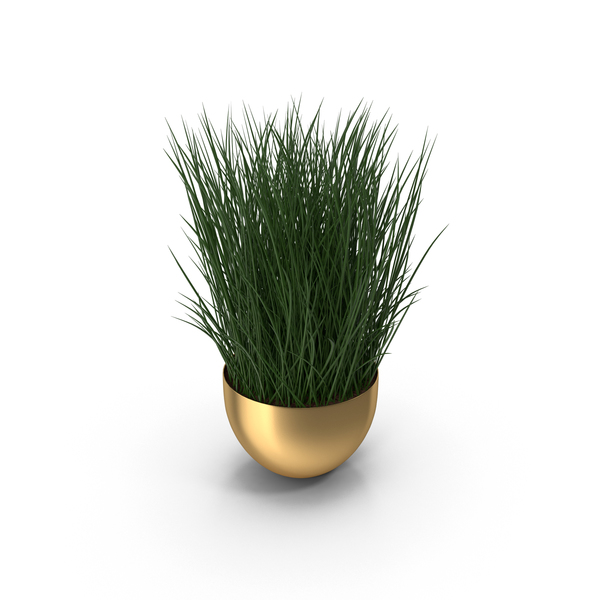 Flower Pot PNG Images & PSDs for Download.