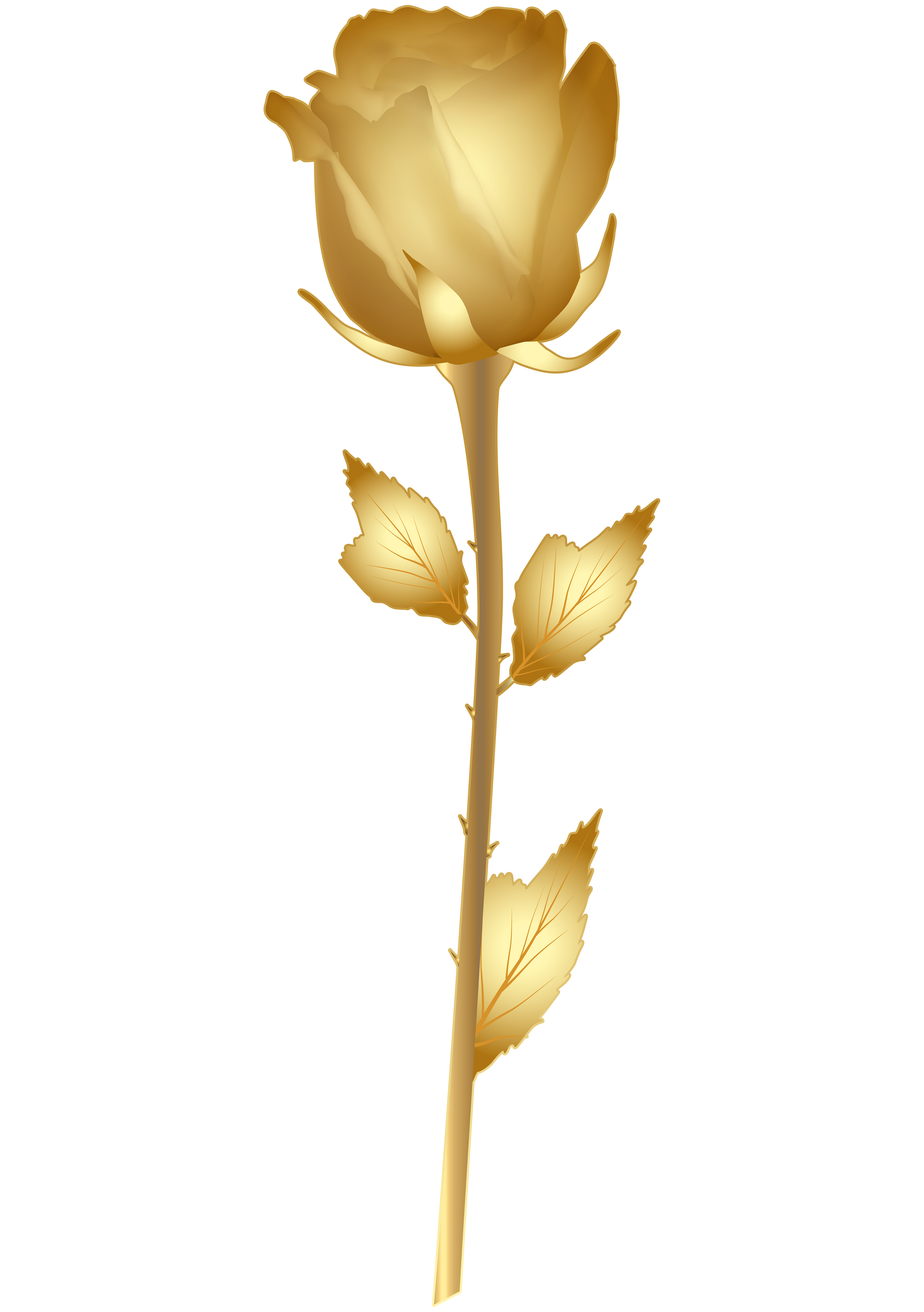 Beautiful Gold Rose PNG Clip Art Image.