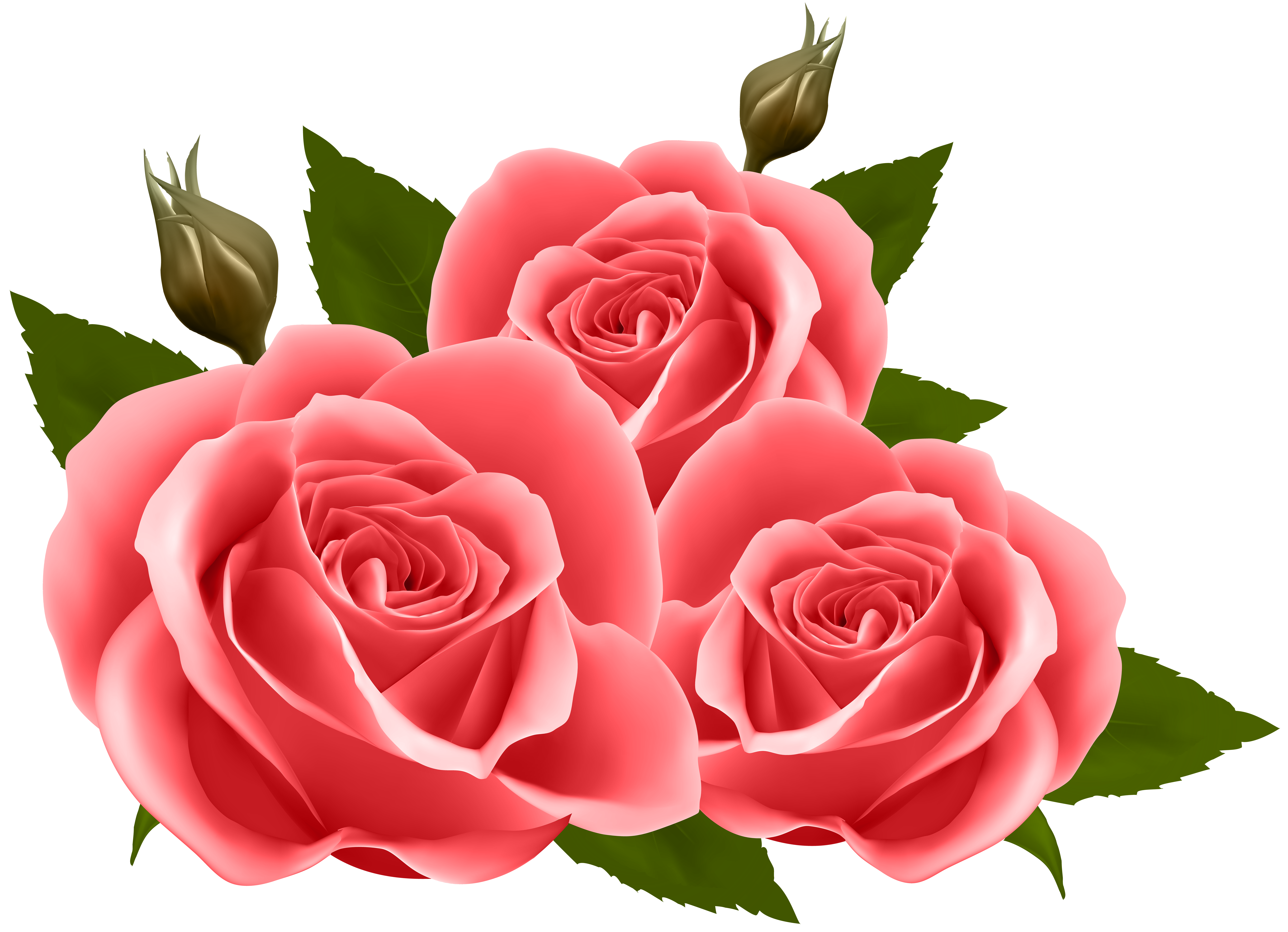 Red Roses PNG Clip Art Image.