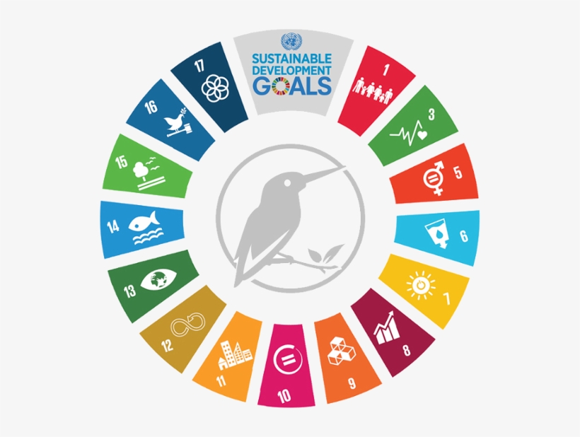 Sustainability Development Goals.