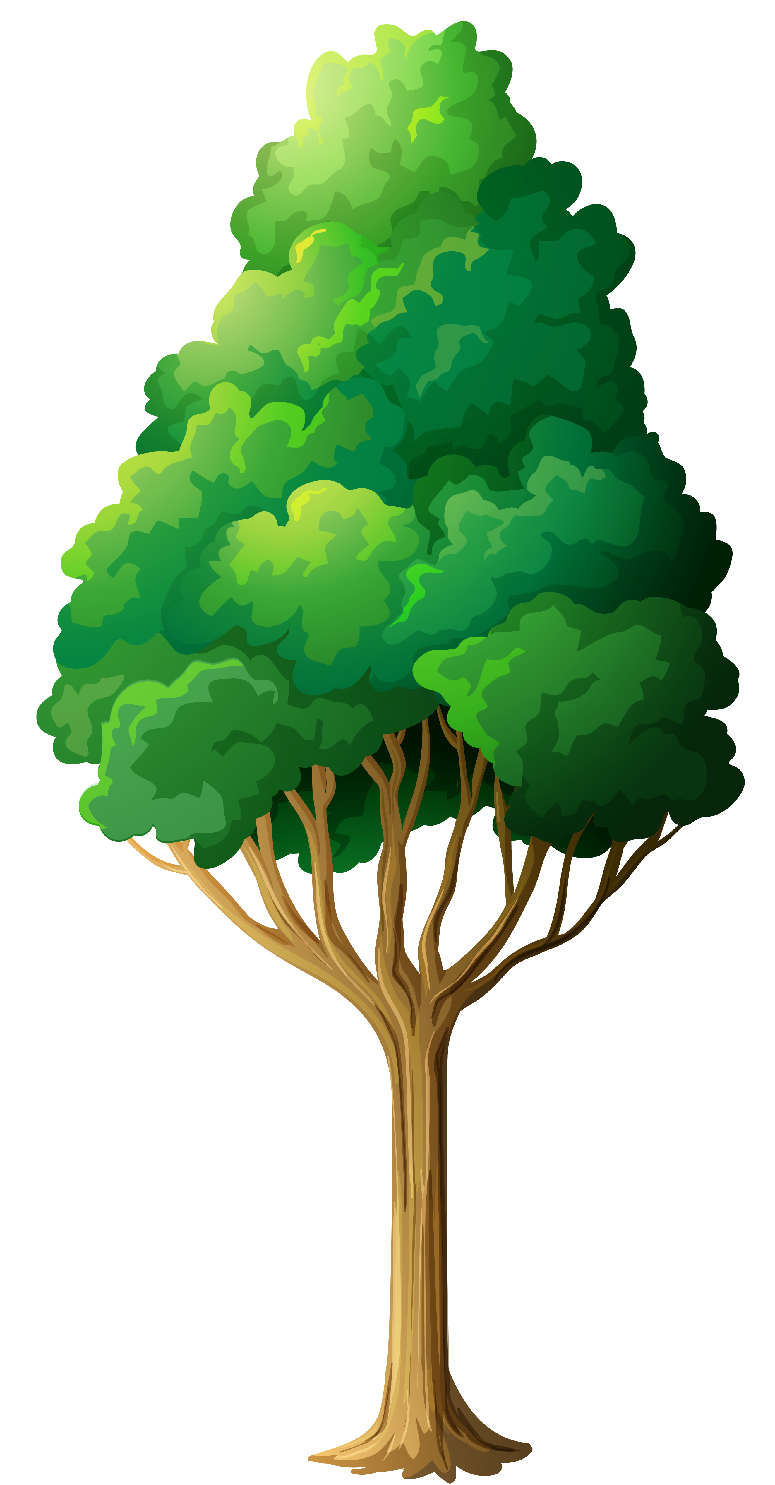 png tree clipart 20 free Cliparts | Download images on Clipground 2021