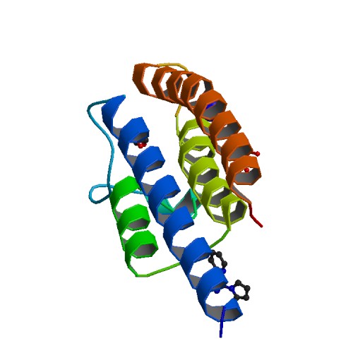 RCSB PDB.