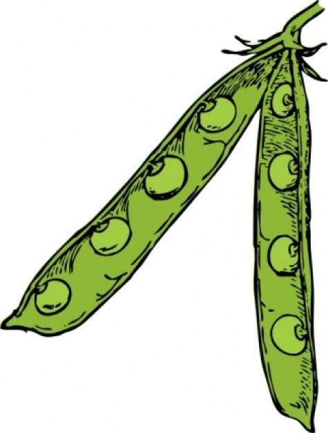 Two Peas In A Pod Clip Art.