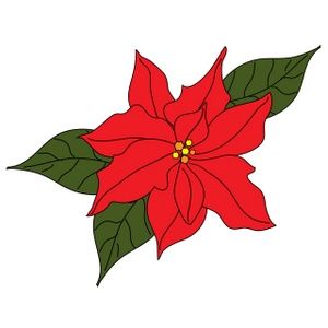 17 Best images about Poinsettia on Pinterest.