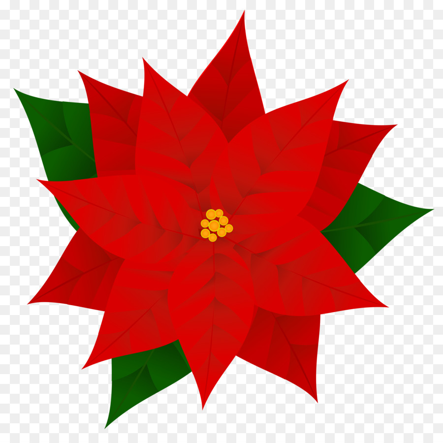 Christmas Poinsettia Clipart clipart.